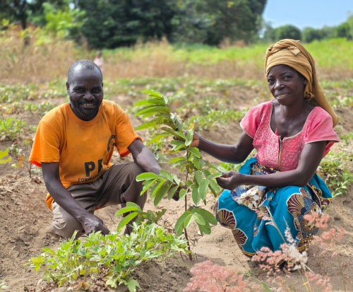 Breyer and his wife with a newly planted fruit tree