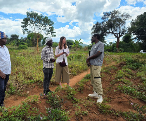 Discussing sweet potato and commercial farming with Jacob