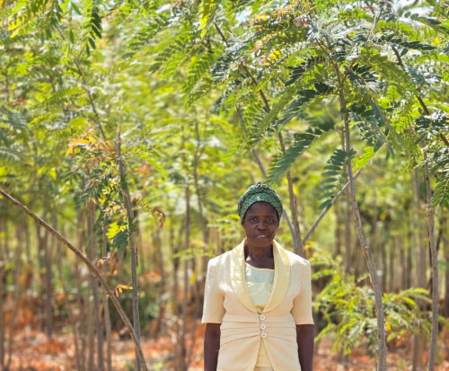 Katrina with her growing trees in July 2026
