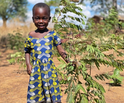 All ages are helping plant trees