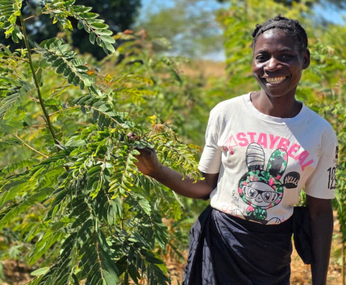 Family working together to plant trees
