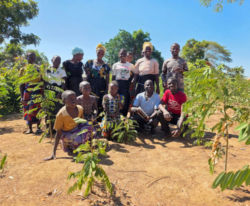 Rafhael Samson Tree Planting Club